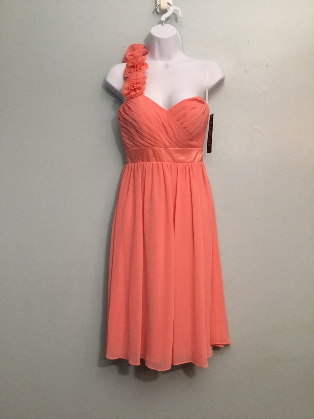 Bari Jay dress size 2